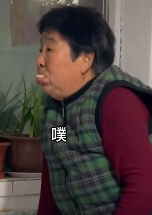 回顾:东北农村75岁老太,靠拍短视频揽3600万粉丝,身价突破千万