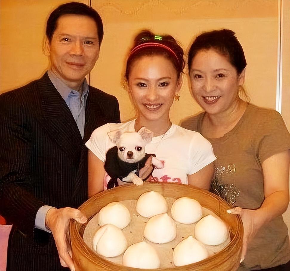 回顾张柏芝30年没有空窗期真心却给了那个抛弃她的谢霆锋