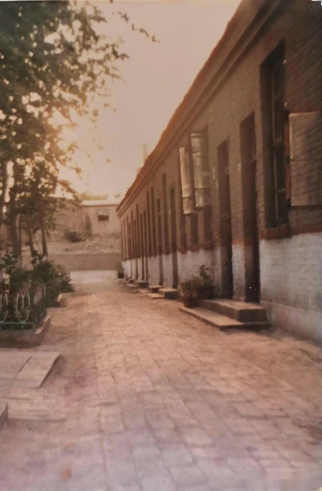 最难忘的时光就是在丰县中学度过的三年