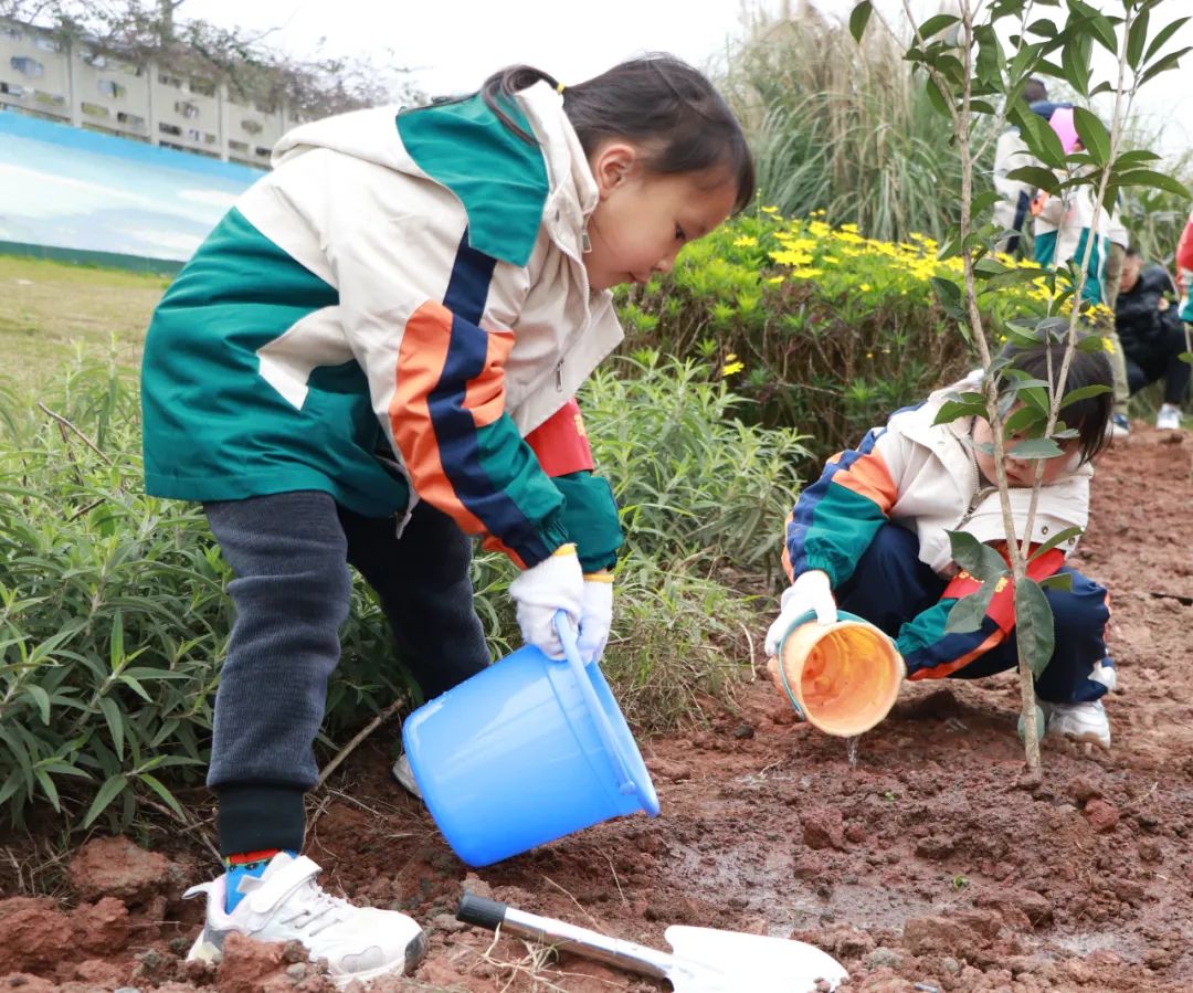 宜宾市翠屏区级机关幼儿园萌宝志愿者植树行动