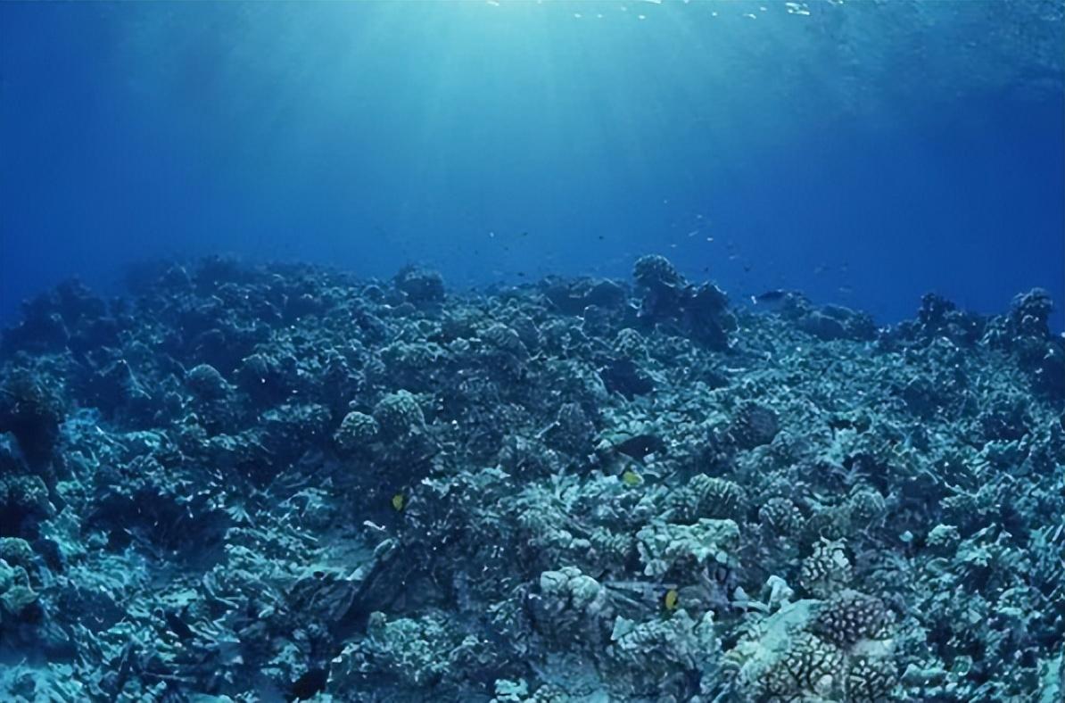 2007年小伙连续5年扔158吨石头在海里如今每年坐收5000万