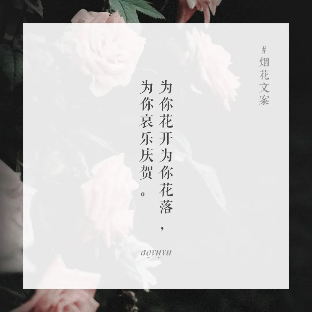 烟花文案,小众的人间理想