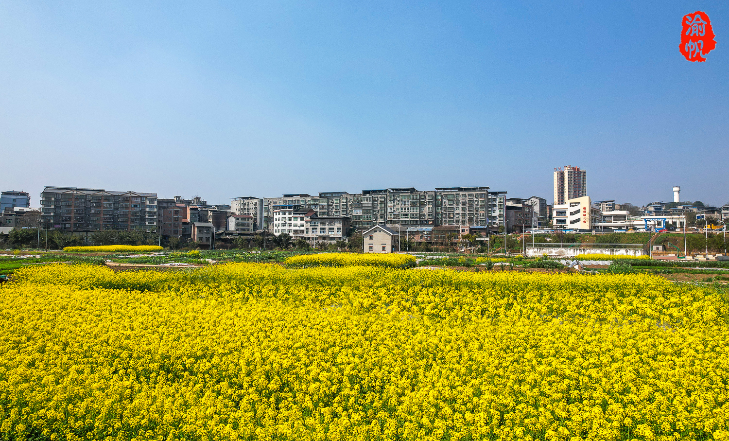 塘坝印象:潼南三大名镇之一,因塘多坝平得名,系重庆市级中心镇