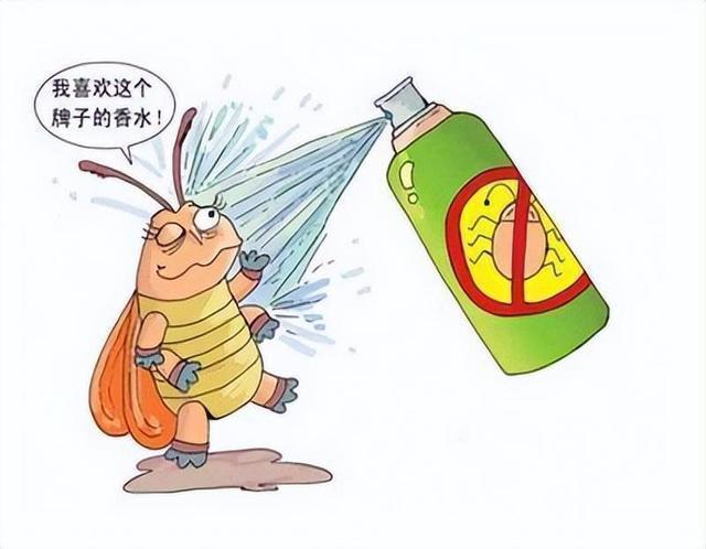 这几种灭蟑螂的误区,不要再用了