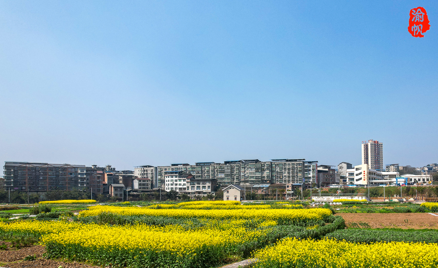 塘坝印象:潼南三大名镇之一,因塘多坝平得名,系重庆市级中心镇