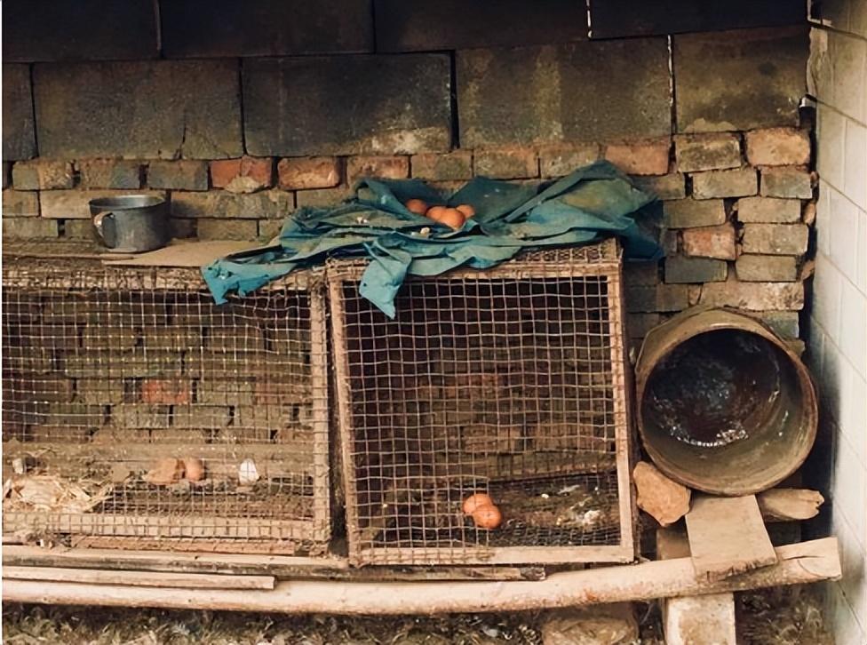 2003年内蒙男子为父迁坟在墓中发现无名尸骨牵出桩生父杀子案