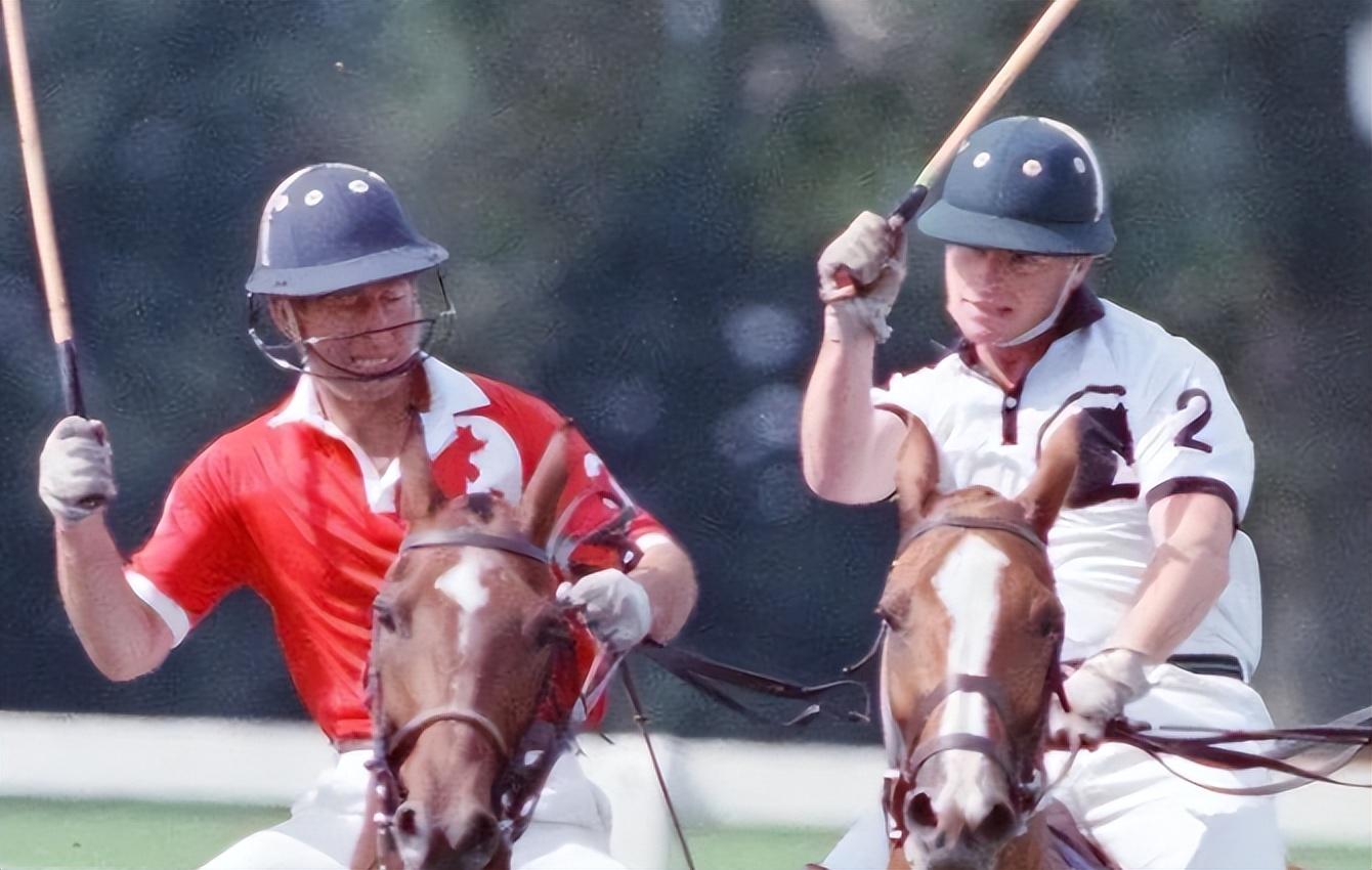 在皇家军事学院深造后,他便加入了皇家骑兵卫队,开启了自己的军旅生涯