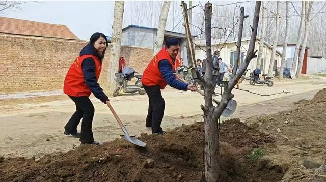 山东济宁汶上县植树活动走在前