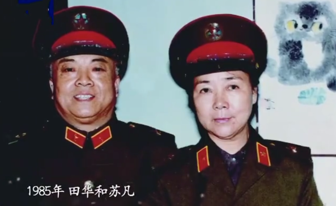 回顾田华与初恋丈夫爱一生儿子去世当天她为何还去当评委