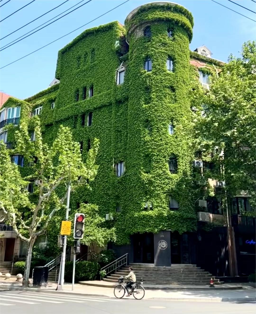 在上海生活了一年告诉你一个真实的上海句句都是肺腑之言