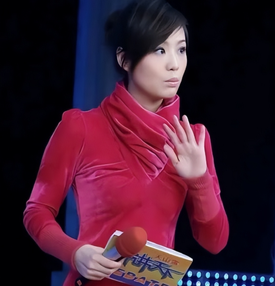 回顾央视主播白岩松与妻子相伴30年被病痛折磨如今成这样