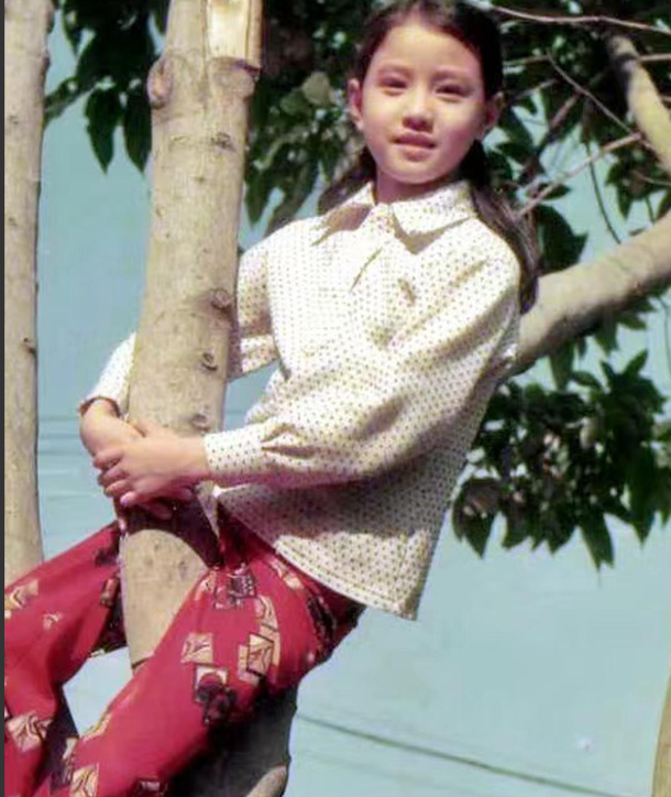 回顾周海媚20岁成名57岁去世去世三天前发文回忆自己半生