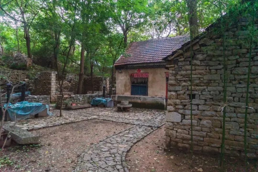 乡约齐鲁邂逅春天