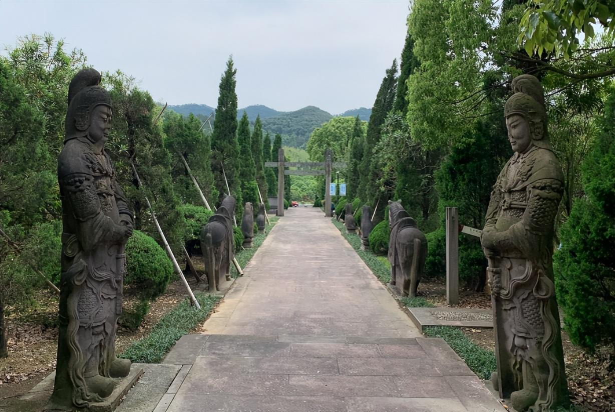 2011年浙江挖出古墓楠木棺材价值上亿尸检后揭开千年金头之谜