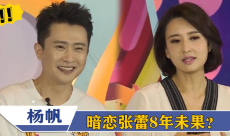 回顾央视主持杨帆我虽和张蕾有绯闻但余生不会辜负平凡的妻子