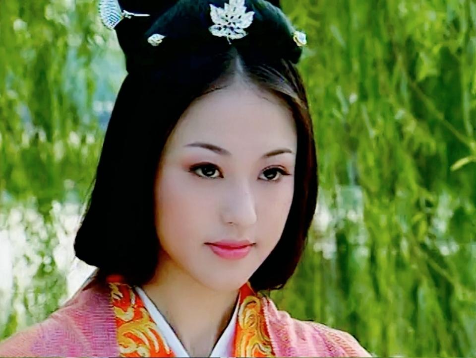 刘贺在辈分上是昭帝和上官皇后的侄子,入嗣后实为嗣子.