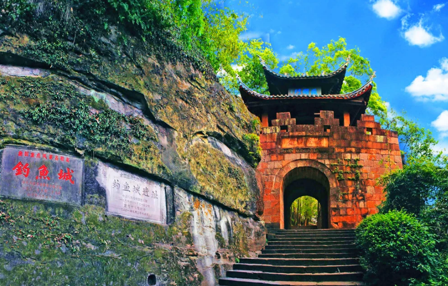 2011年浙江挖出古墓楠木棺材价值上亿尸检后揭开千年金头之谜