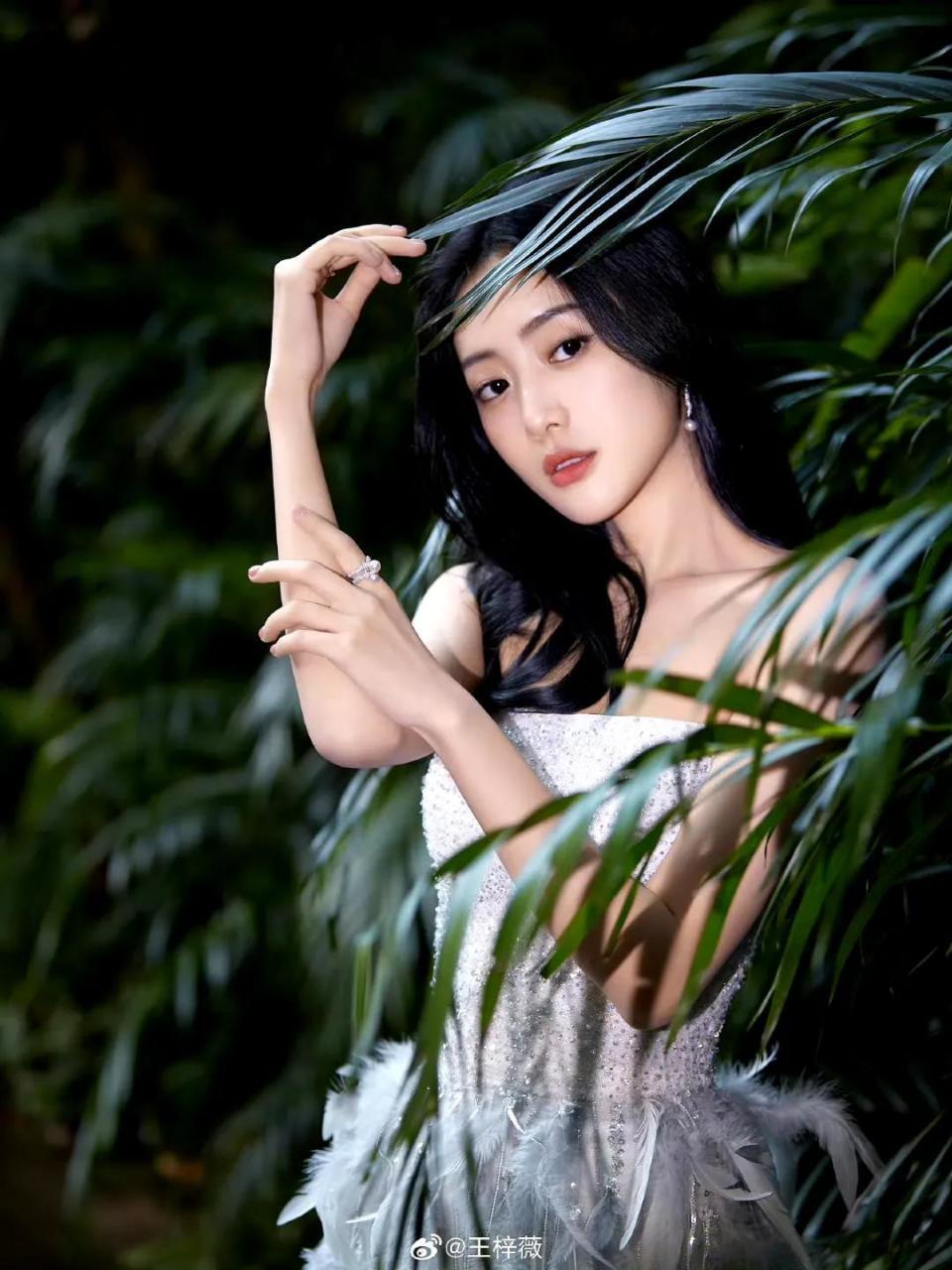 王梓薇,感恩赵丽颖得以2搭,娱乐圈现实与温暖并存