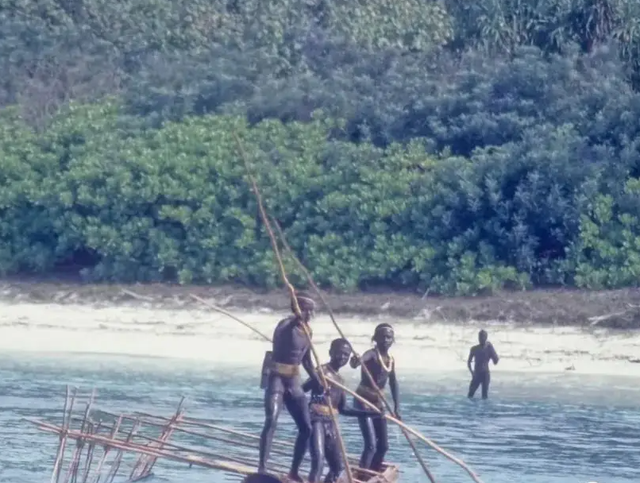 人类禁地北哨兵岛,印度小岛与世隔绝6万年,登岛者无一生还?