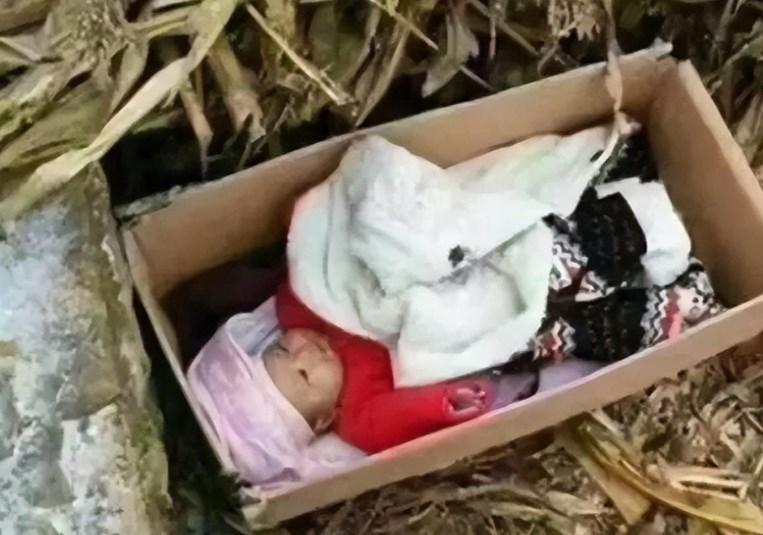 回顾河南老汉捡破烂养大弃婴女儿身价千万为报恩卖公司陪父旅游