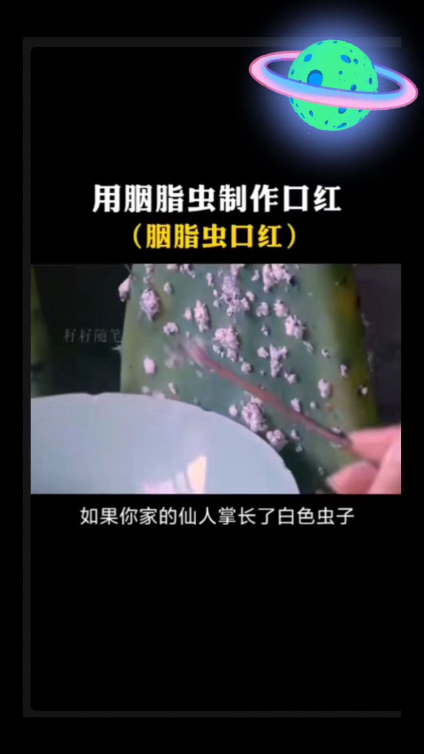 总于知道了古人的口红是用什么制作的,纯天然