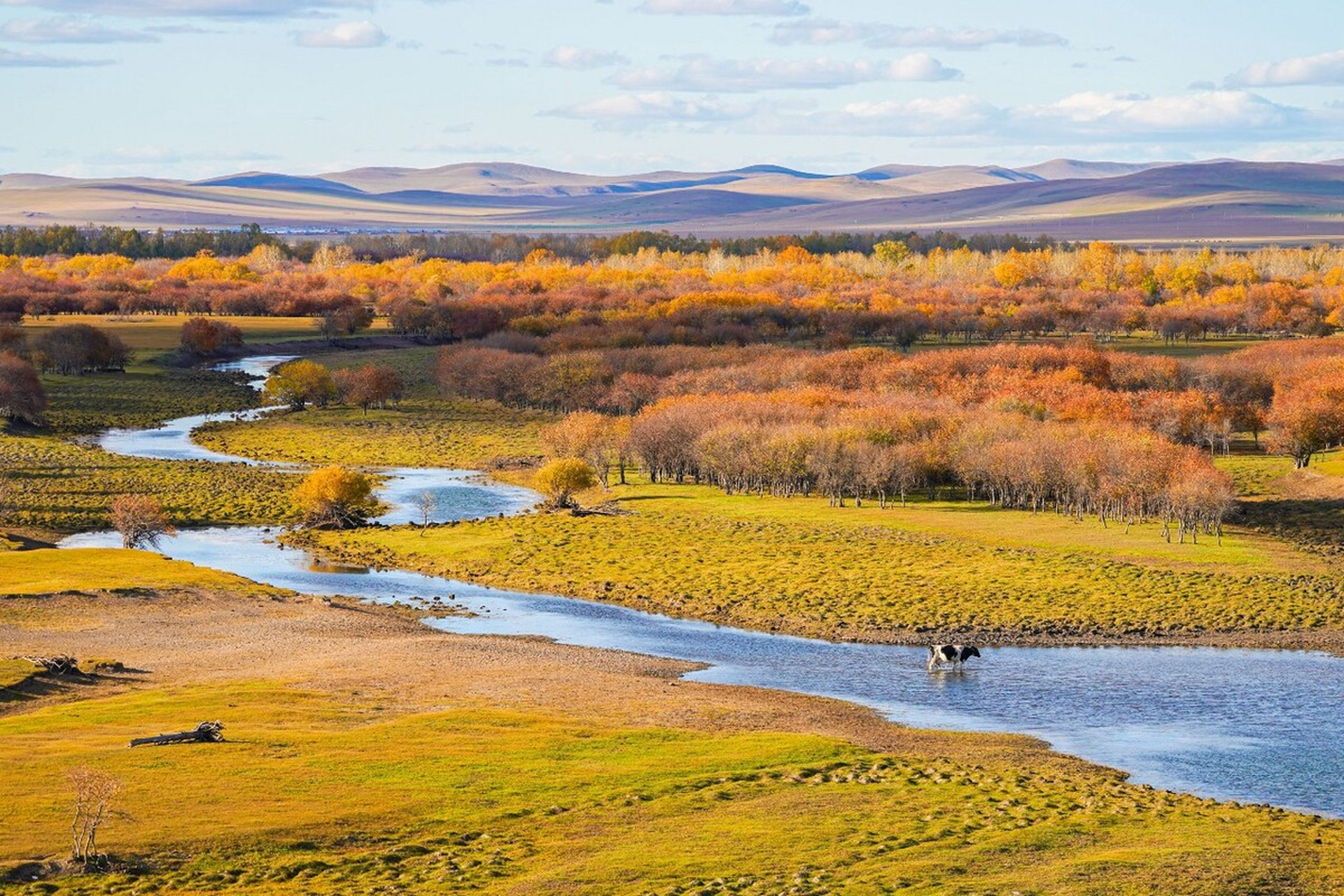 呼伦贝尔草原,位于内蒙古自治区地处大兴安岭以西的呼伦贝尔高原上