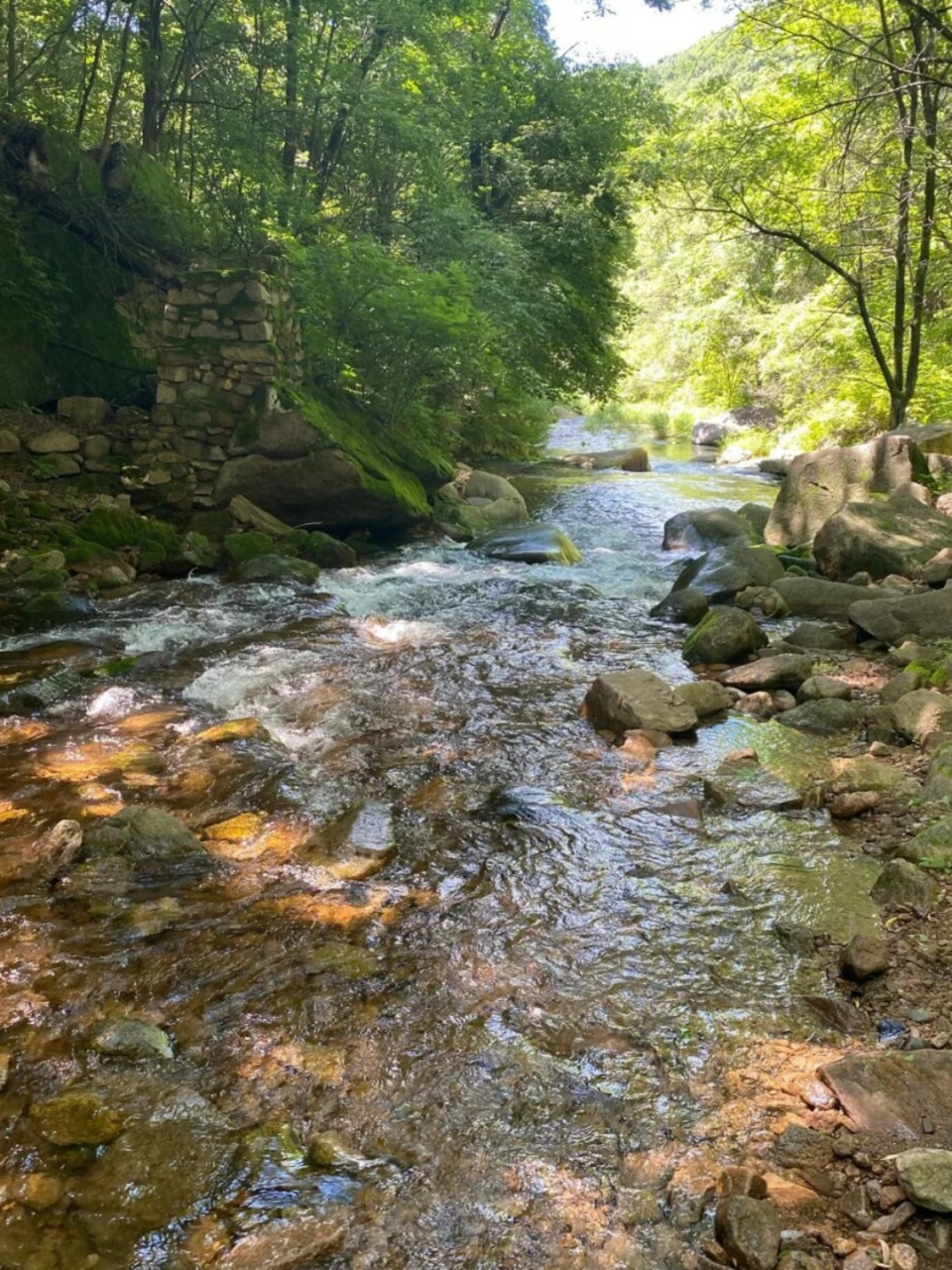 又是一个来找小溪的夏天