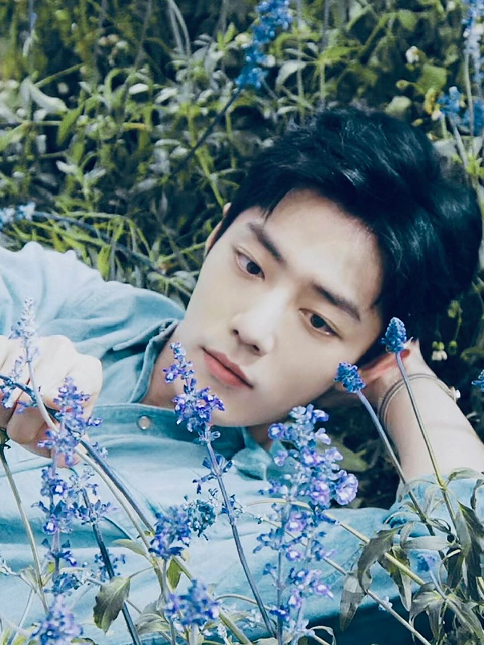 肖战的高清壁纸,这绝美侧颜真是太让人心动了!