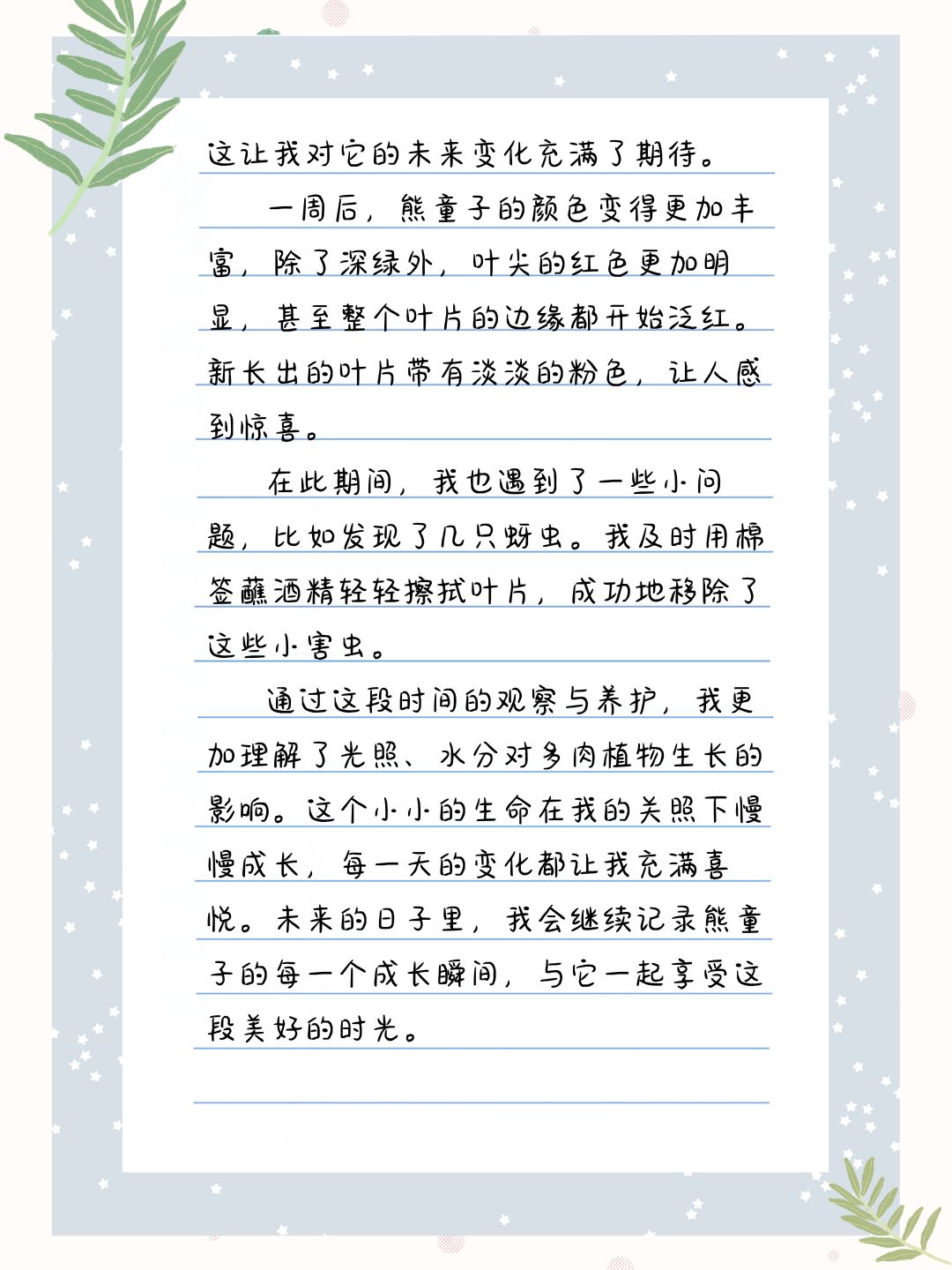 观察日记多肉植物400字