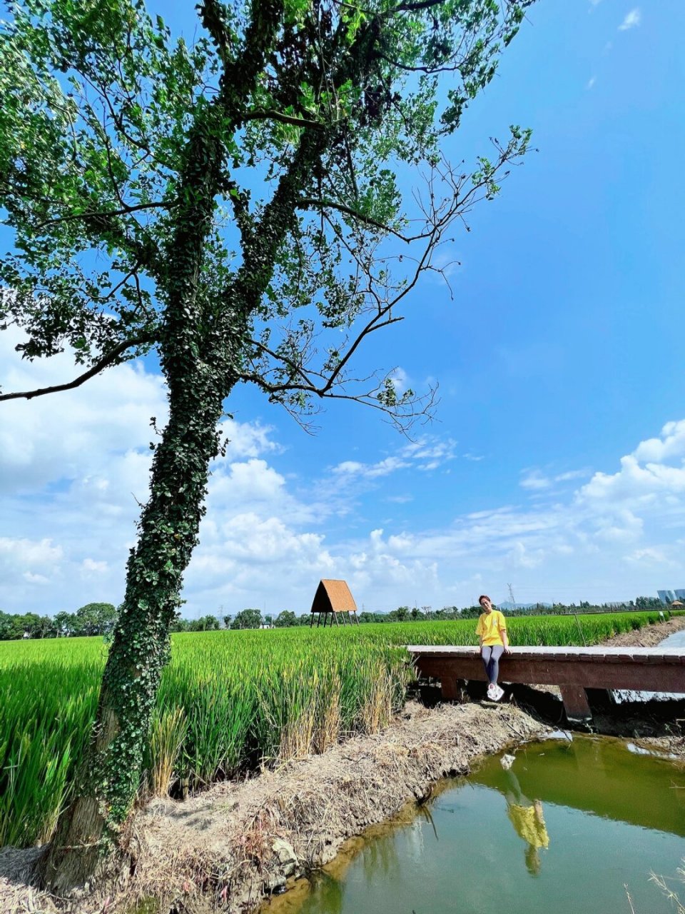 乡下的田园生活  每次提及乡下的田园生活,我的心中总会涌起一股莫名