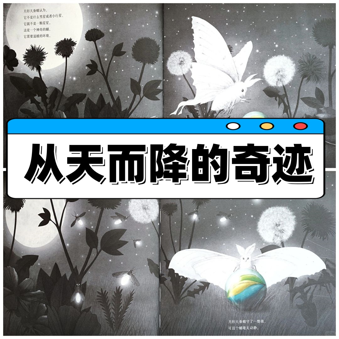 绘本简介:从天而降的神秘物体,让昆虫世界沸腾了!