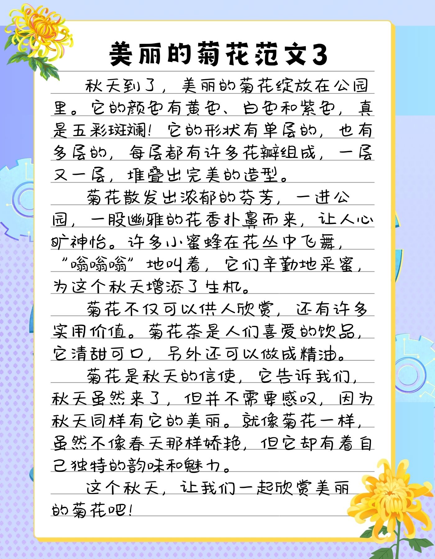 三年级作文美丽的菊花300字