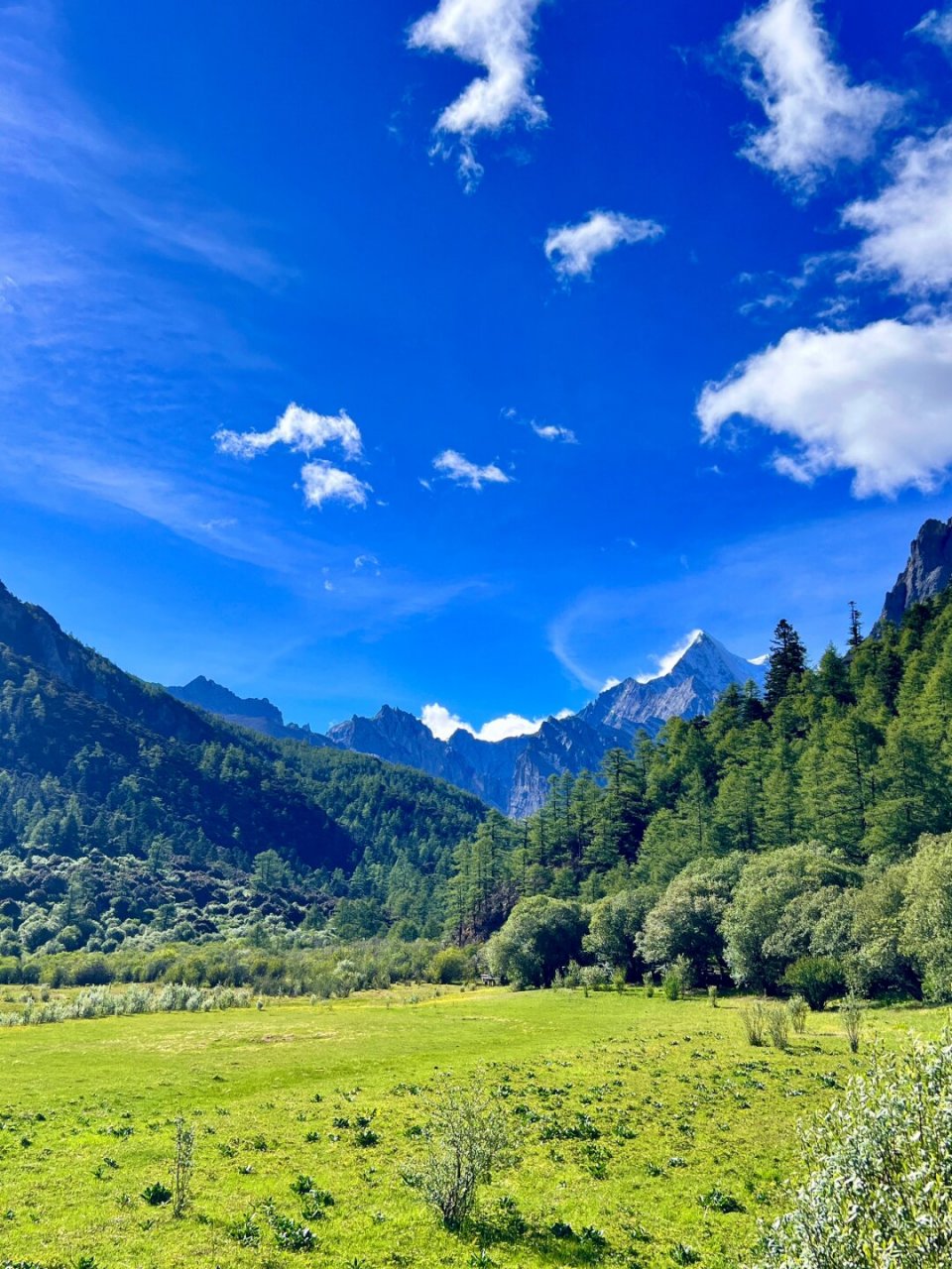 用live photo 留住了稻城亚丁美如画的夏天~  94夏天的稻城亚丁