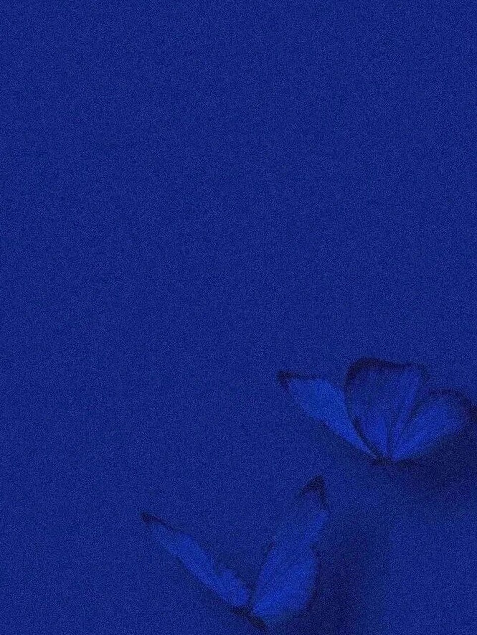 宝蓝色的图片  🌈宝蓝色是一种鲜艳且纯净的蓝色,它的色调十分纯净