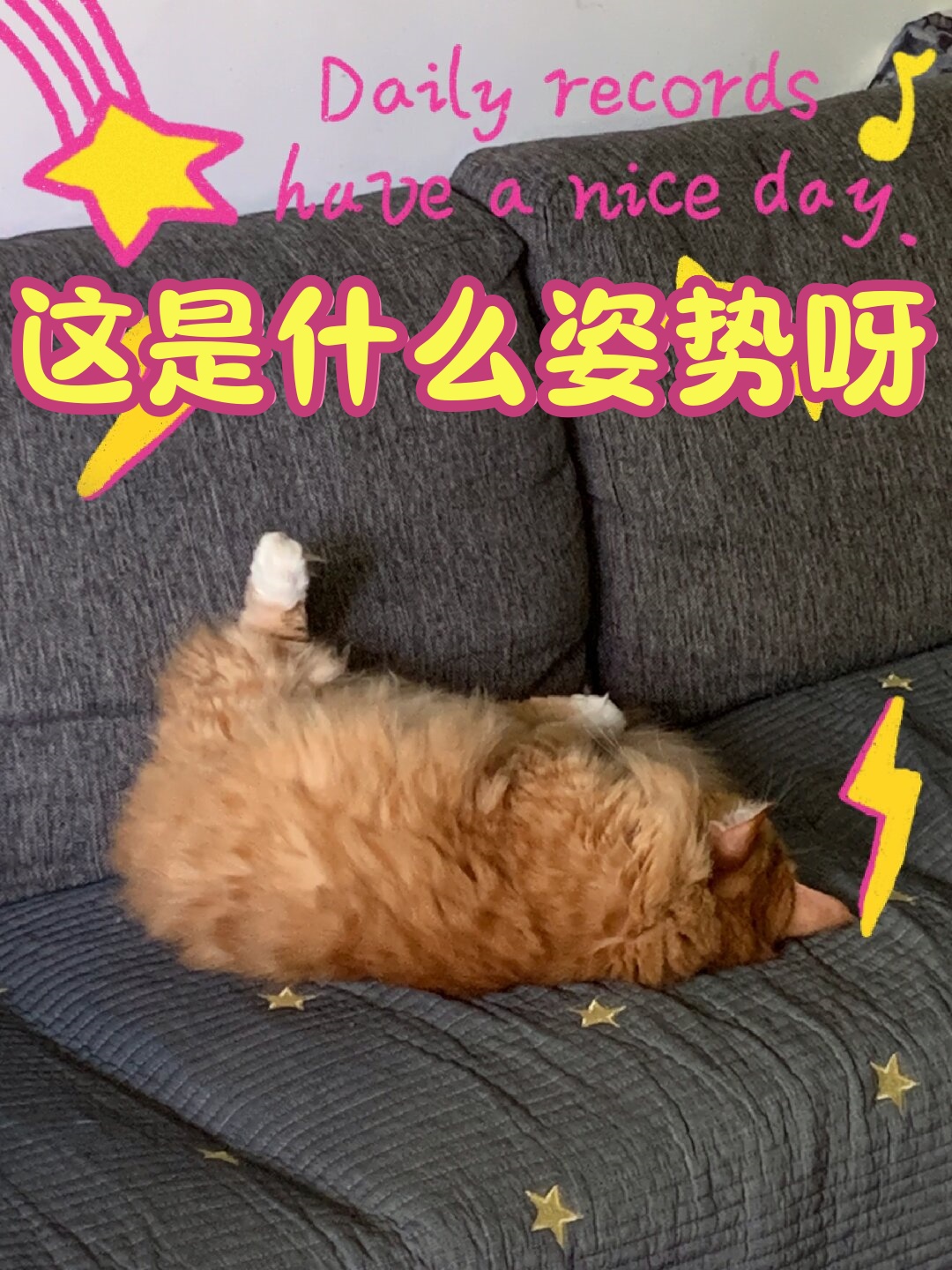 这是什么姿势呀  今天回家看到我家毛孩子,居然摆出了一个我从未见过