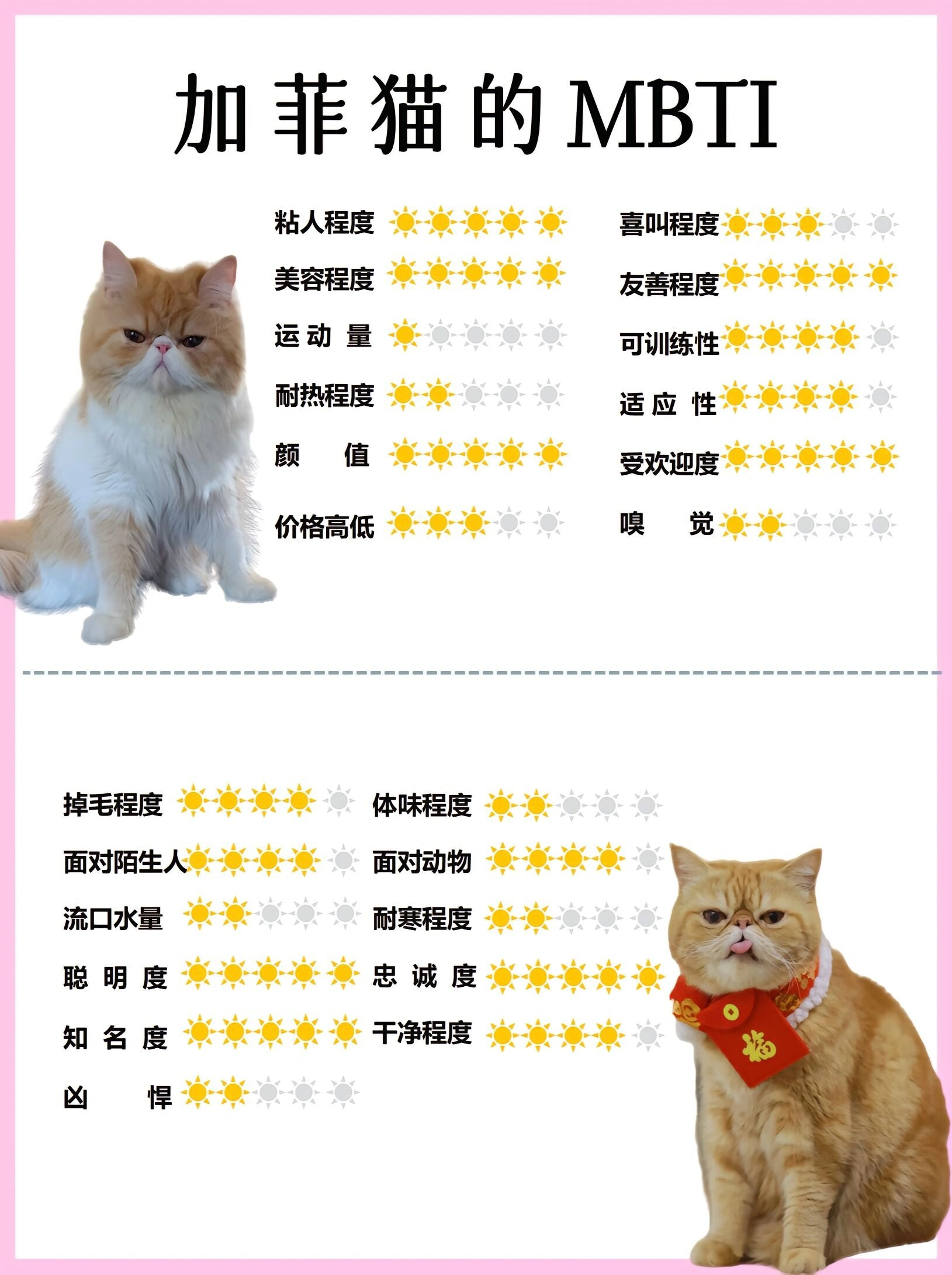 加菲猫品像及颜色性格分析  今天我来给大家分享一下加菲猫的品像及