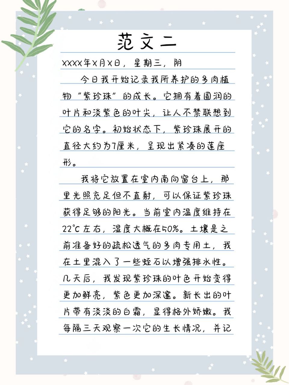 多肉日记200字三年级(多肉植物日记300字左右)
