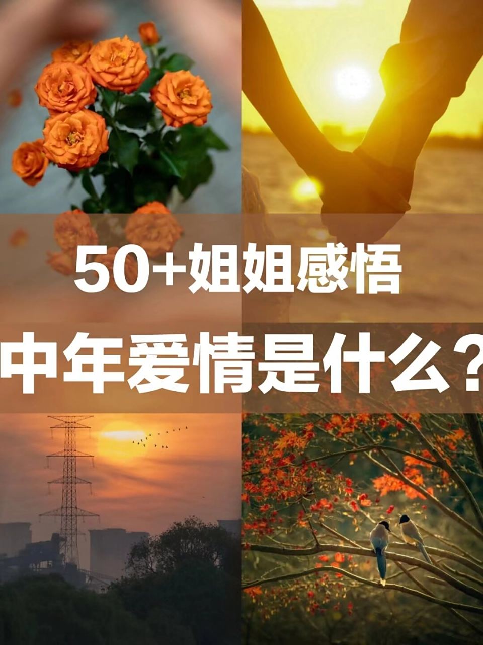 中年恋爱