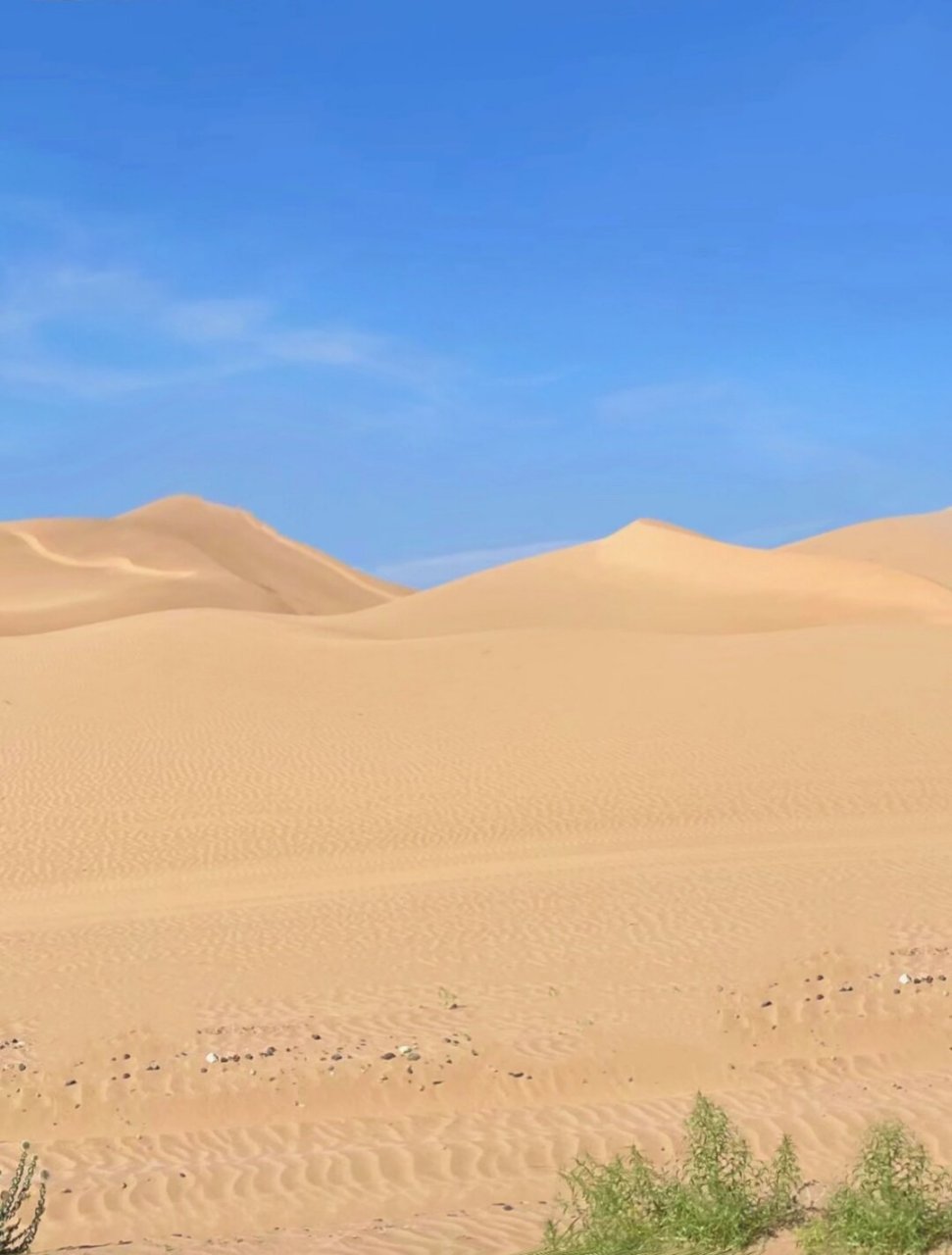 内蒙古自治区 通辽沙漠  科尔沁左翼后旗的草甘沙漠9815,虽然面积