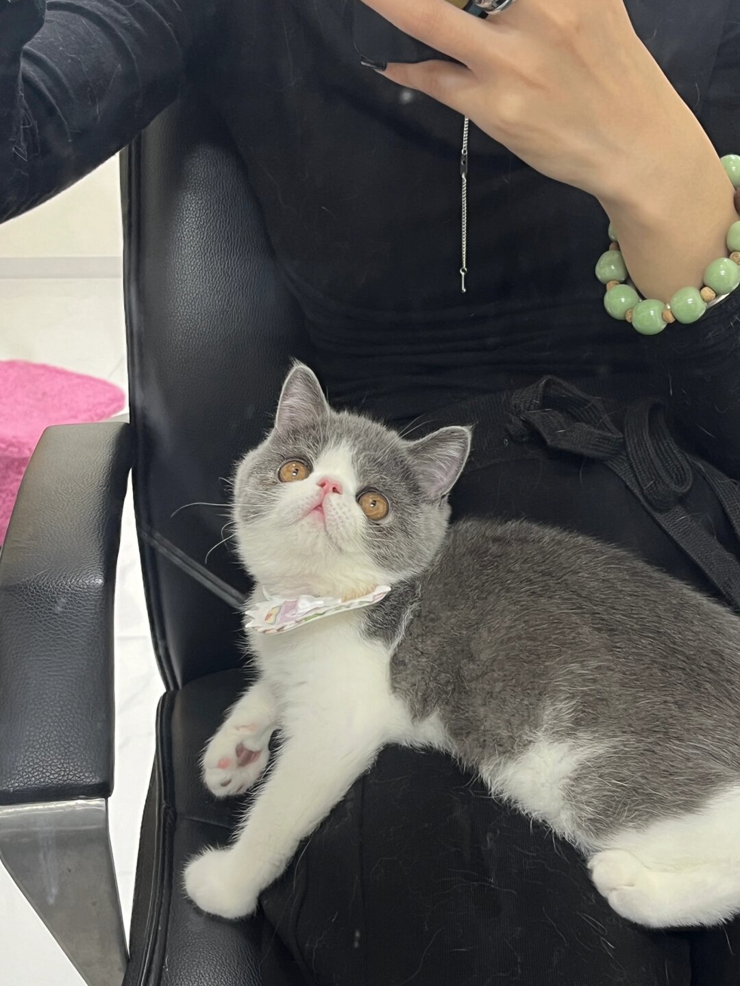 蓝白加菲猫 嘿,小伙伴们.@宛儿的宠物日记的动态