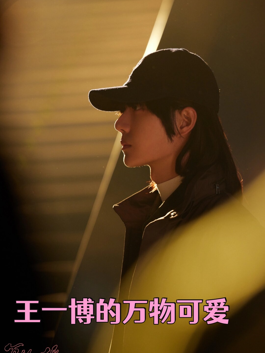 在繁华喧嚣的娱乐圈中,有一个名字总能让人心生