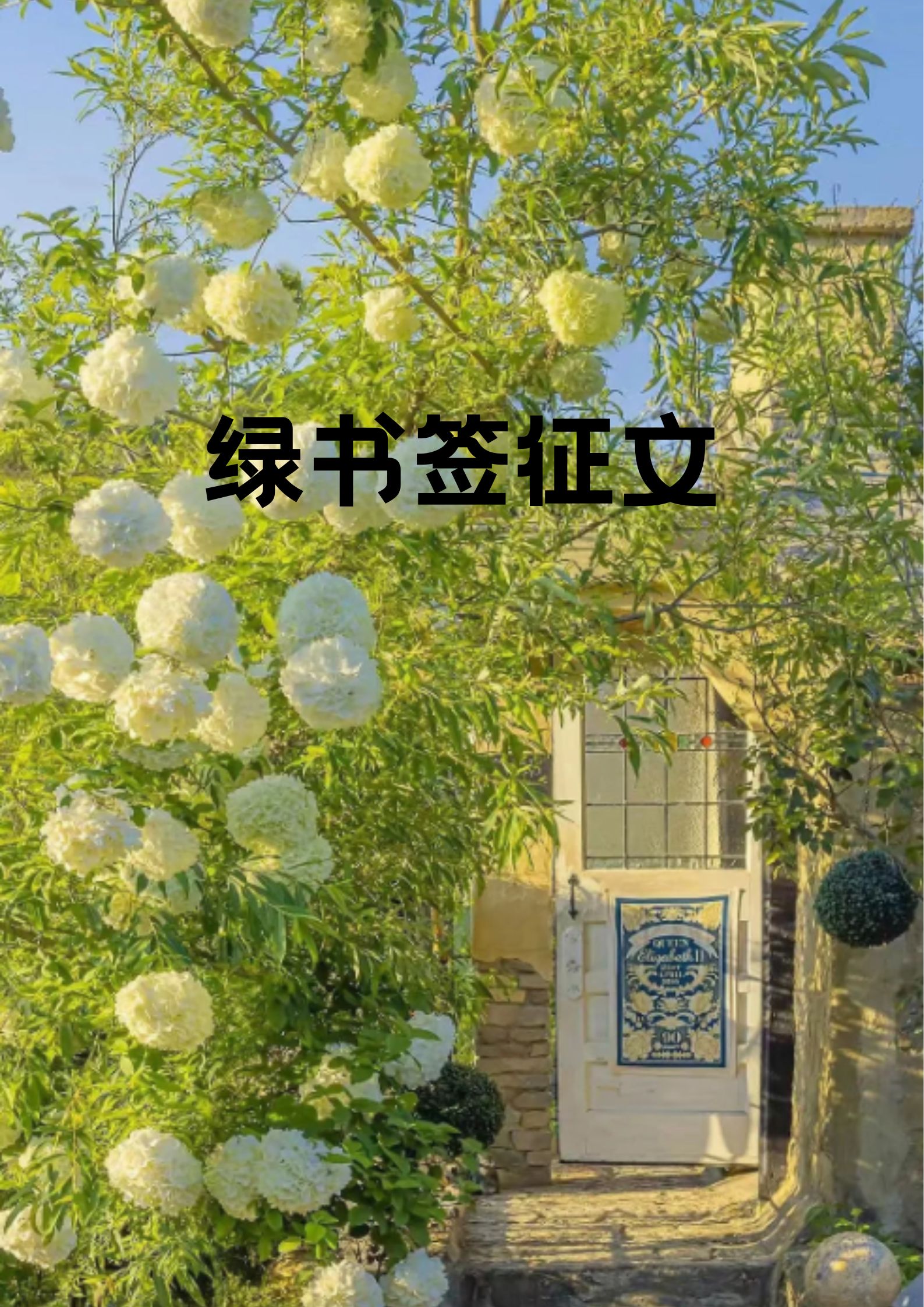 绿色,象征着生命与希望,如同书签中的一片绿洲,在知识的