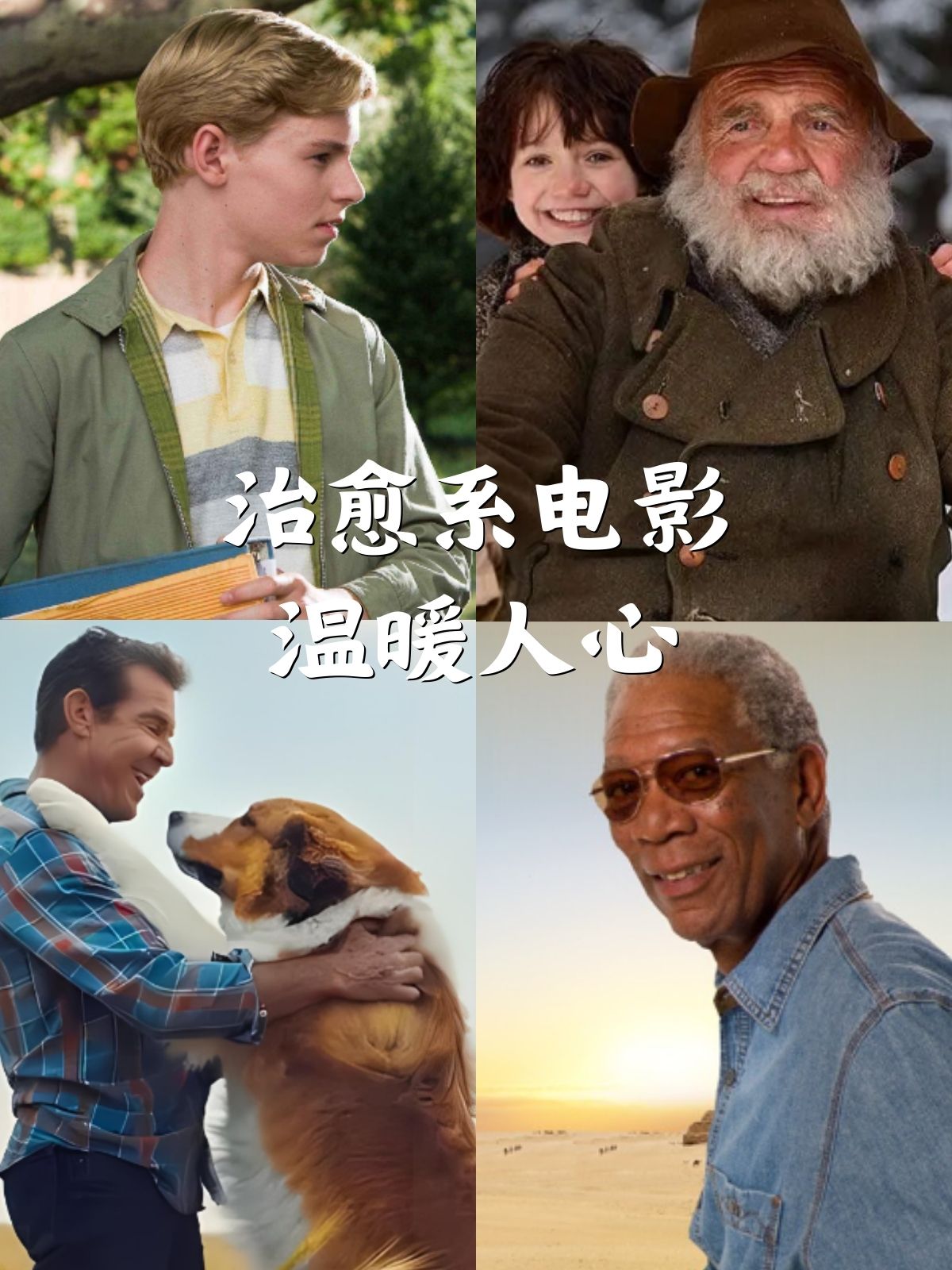治愈系电影,温暖人心!留起来慢慢看!