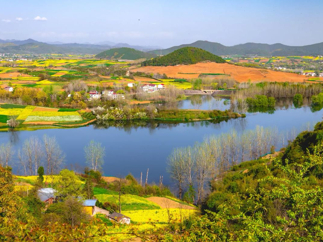 陕西有个南方范儿的小城,誉为"小江南,遍地油菜花不输婺源景