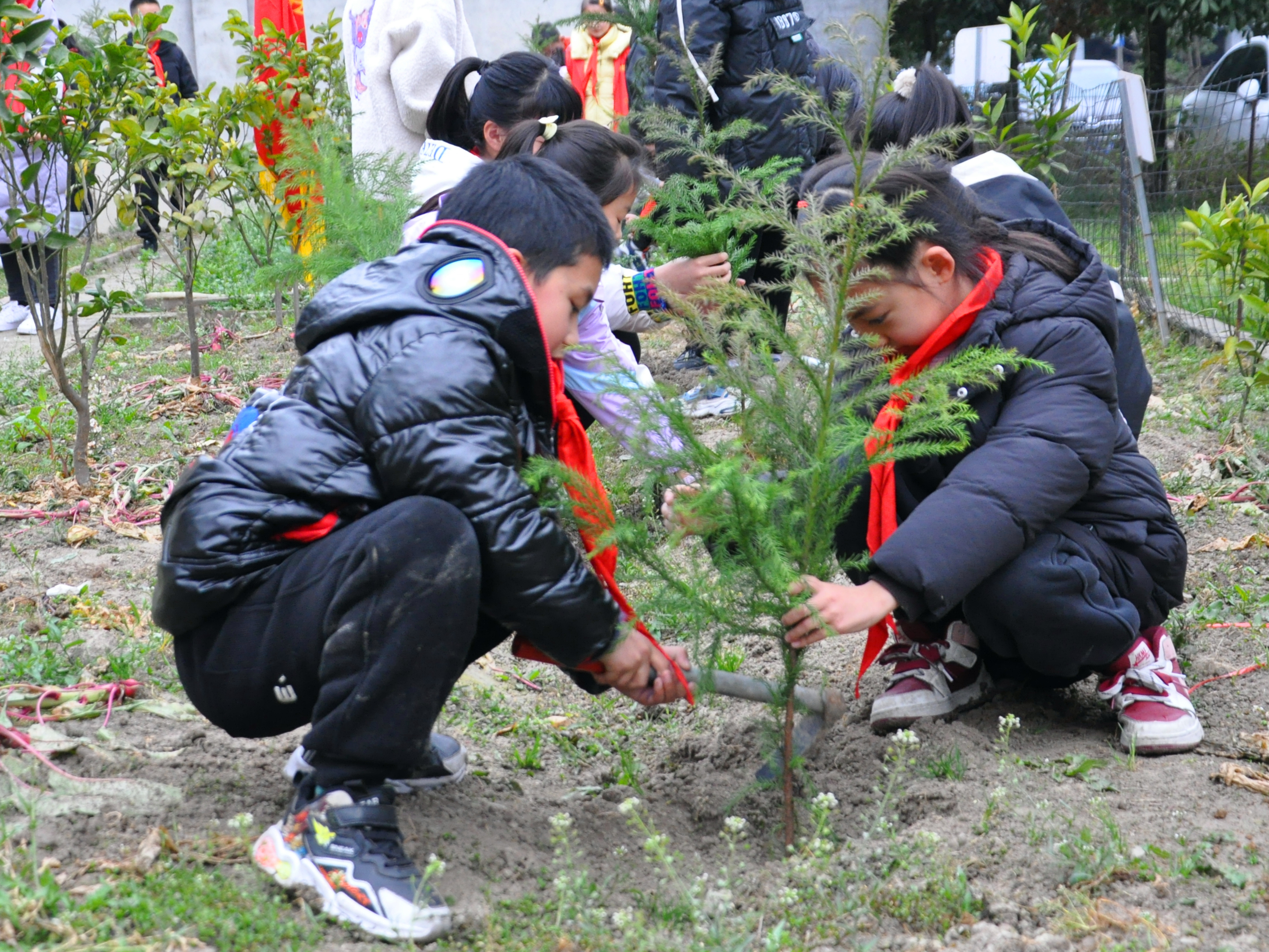 植树节活动照片图片