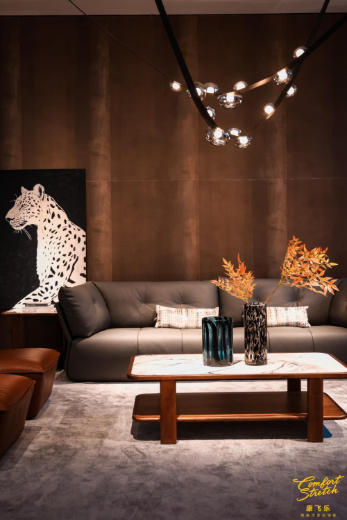 康飞乐智能沙发 2024您怎能错过的未来