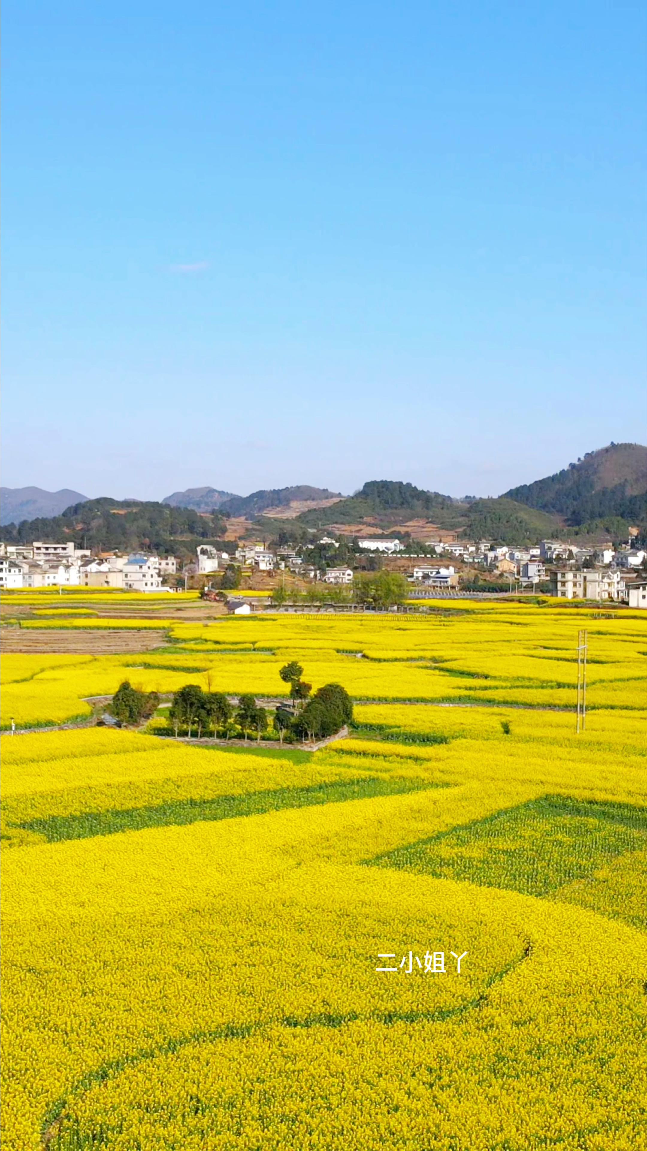 有一种春天叫油菜花,春天的色彩,乡野田间,田园风光无极好-度小视