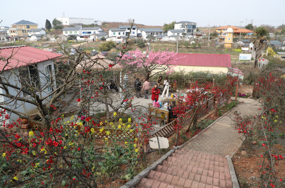 成都青白江:龙门桃花沟百花盛开