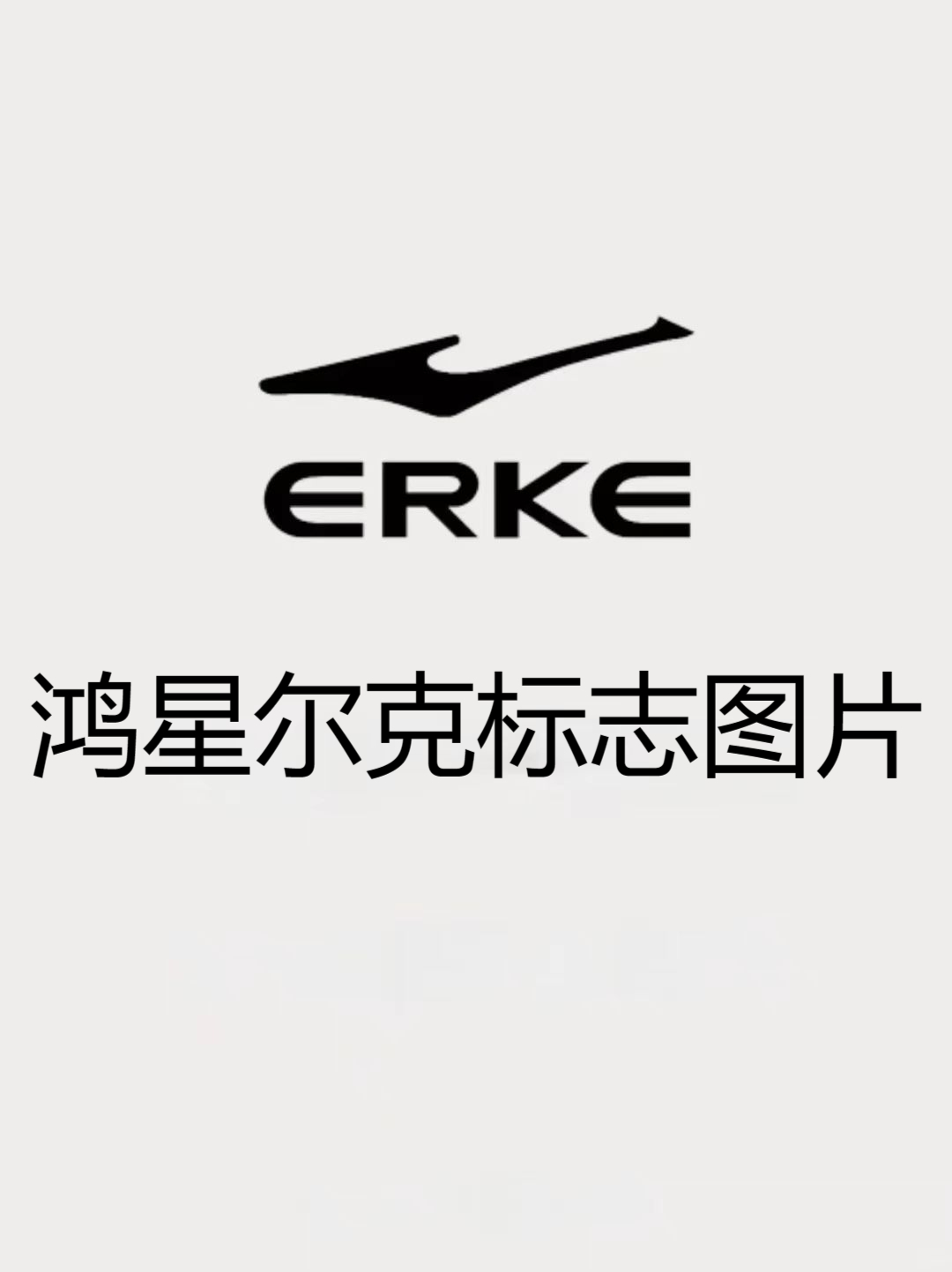 品牌名称:鸿星尔克 英文名:erke 成立时间:2000年