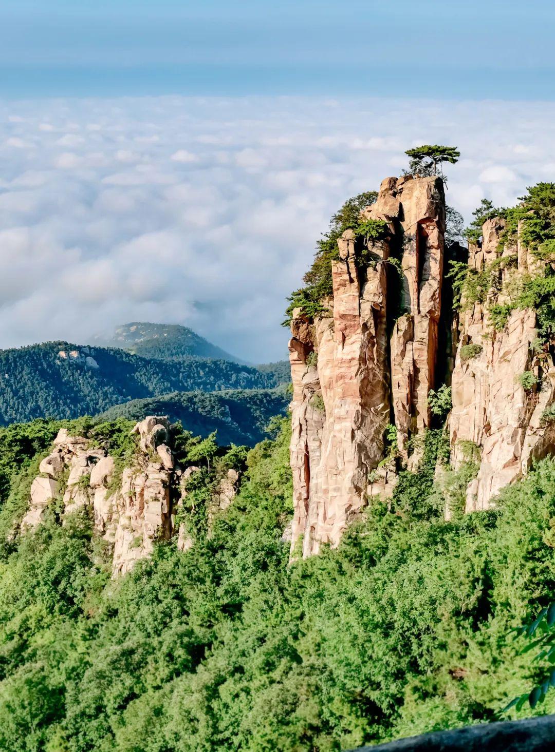 来山东看一抹春光满满的绿